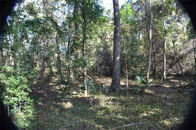 3415 Evergreen Drive, Kingwood, TX 77365