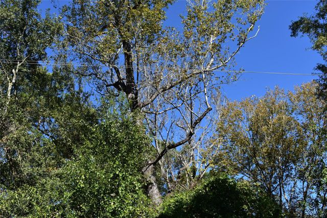 3415 Evergreen Drive, Kingwood, TX 77365