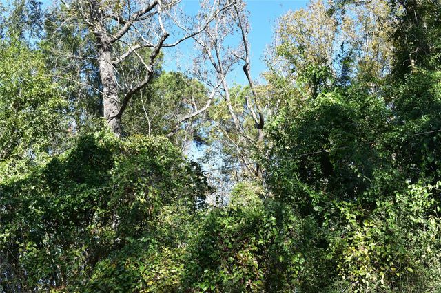 3415 Evergreen Drive, Kingwood, TX 77365