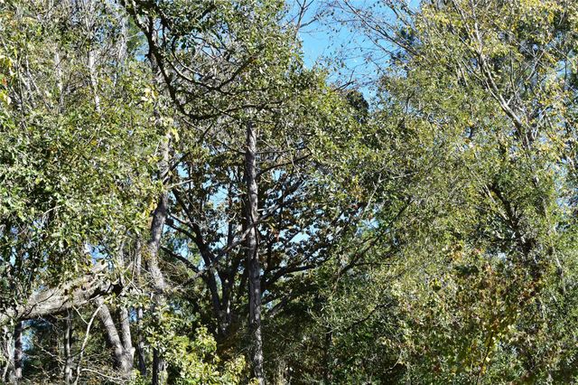 3415 Evergreen Drive, Kingwood, TX 77365