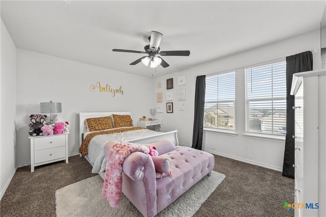 6113 Lavaca Drive, Belton, TX 76513