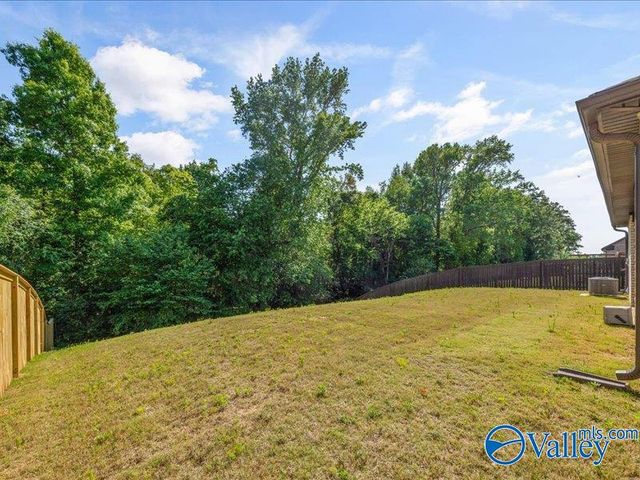 198 Saddle Street, New Market, AL 35761