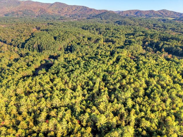 0 Stansbury Mountain Road, Copperhill, TN 37317