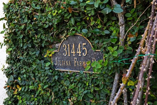 31445 Juliana Farms Road, San Juan Capistrano, CA 92675