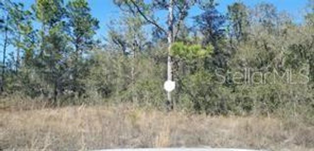 16200 CRANE ROAD, Weeki Wachee, FL 34614