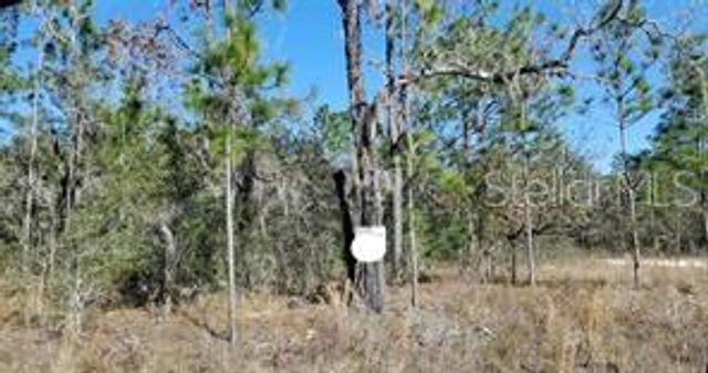 16200 CRANE ROAD, Weeki Wachee, FL 34614