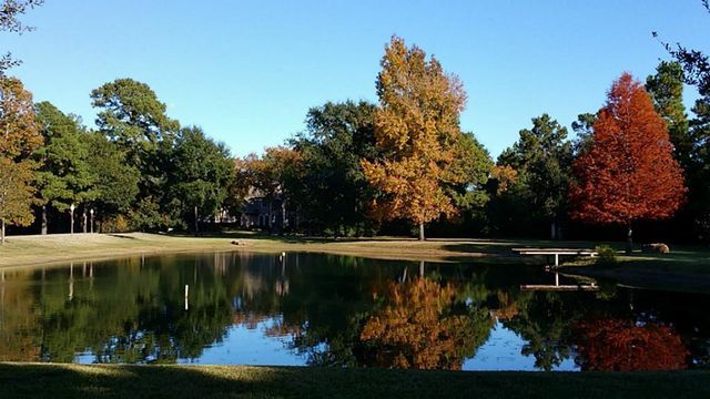 12126 Zion Road, Tomball, TX 77375