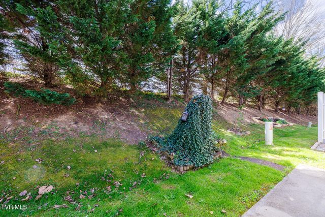 58 Sagewood Court 58, Jonesborough, TN 37659