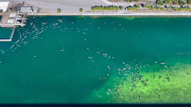 512 RED MANGROVE LANE, Apollo Beach, FL 33572