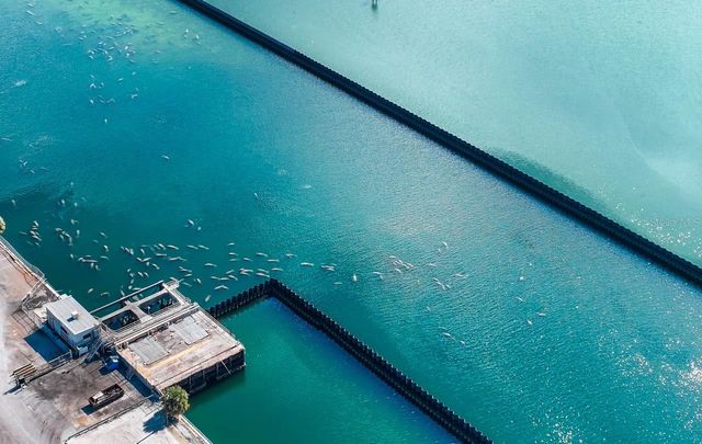 512 RED MANGROVE LANE, Apollo Beach, FL 33572