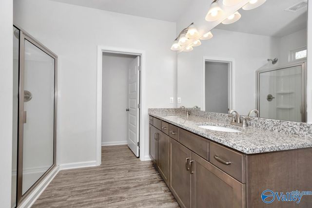1132 Tanger Glen Trail NW, Harvest, AL 35749