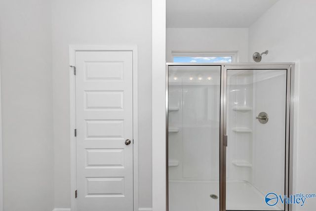 1132 Tanger Glen Trail NW, Harvest, AL 35749