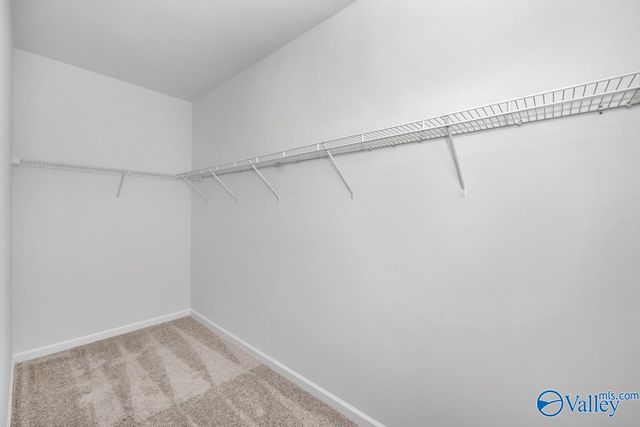 1132 Tanger Glen Trail NW, Harvest, AL 35749