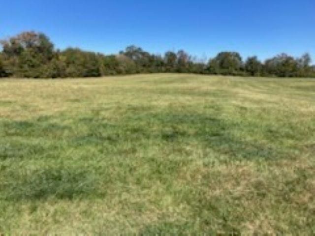 0 Cudd Drive, Chesnee, SC 29323