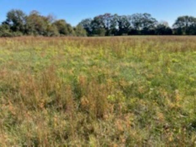 0 Cudd Drive, Chesnee, SC 29323