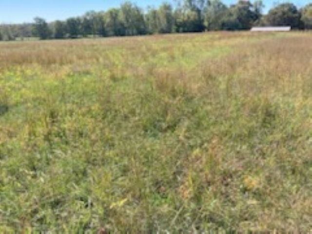 0 Cudd Drive, Chesnee, SC 29323