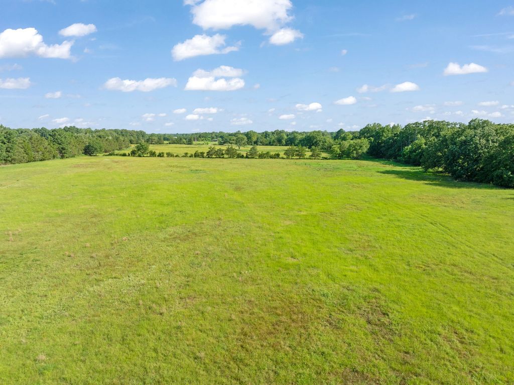 259 COUNTY ROAD 44880, Blossom, TX 75416