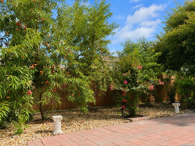 8623 Pinto Cyn, San Antonio, TX 78254