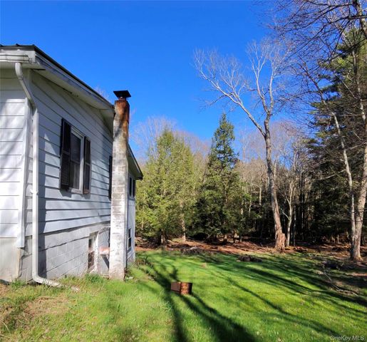 42 Back Shandelee Road, Livingston Manor, NY 12758