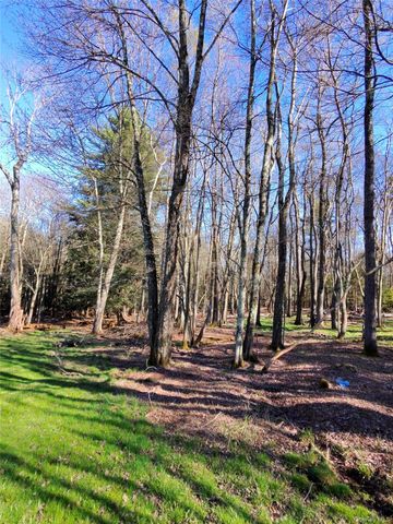 42 Back Shandelee Road, Livingston Manor, NY 12758