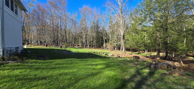 42 Back Shandelee Road, Livingston Manor, NY 12758