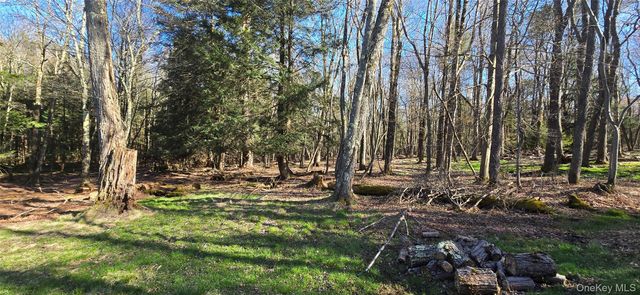 42 Back Shandelee Road, Livingston Manor, NY 12758