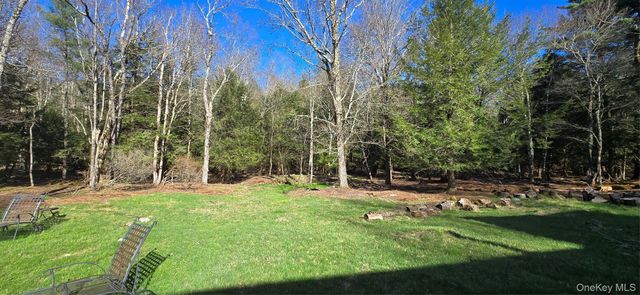 42 Back Shandelee Road, Livingston Manor, NY 12758