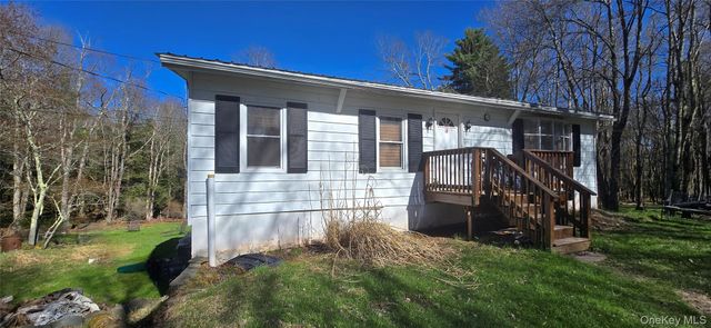42 Back Shandelee Road, Livingston Manor, NY 12758