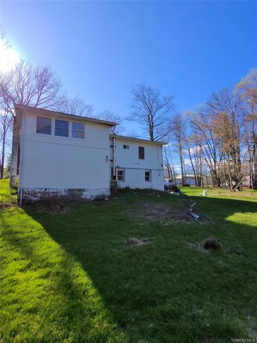 42 Back Shandelee Road, Livingston Manor, NY 12758