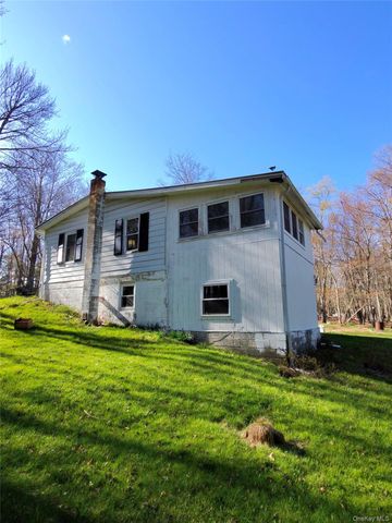 42 Back Shandelee Road, Livingston Manor, NY 12758
