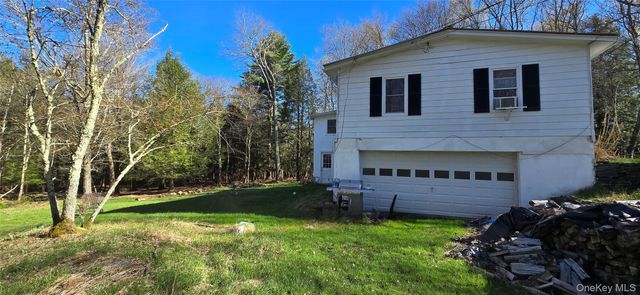 42 Back Shandelee Road, Livingston Manor, NY 12758