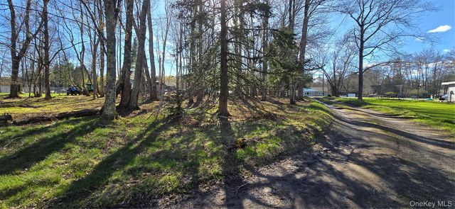 42 Back Shandelee Road, Livingston Manor, NY 12758