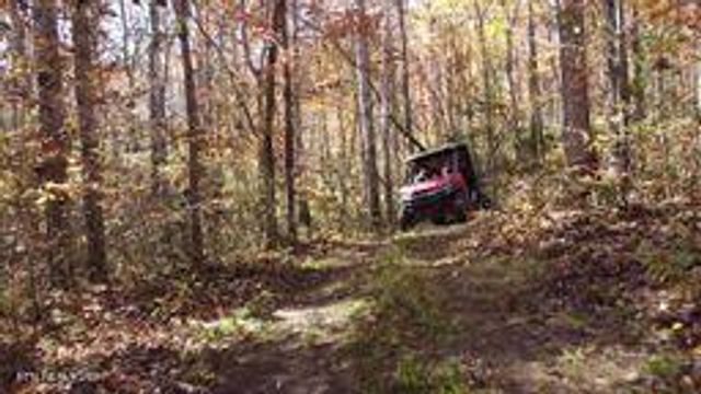 2036 Helenwood Detour Rd, Helenwood, TN 37755