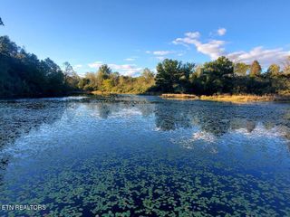 2036 Helenwood Detour Rd, Helenwood, TN 37755