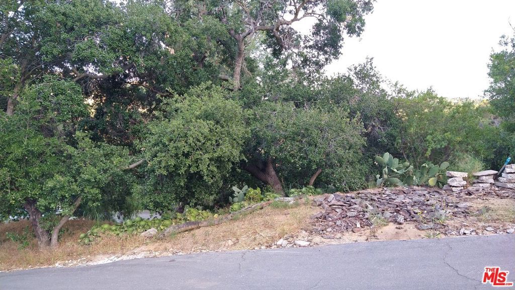0 SUMMIT Road, Topanga, CA 90290 — photo 3