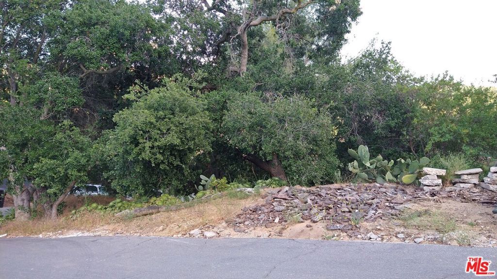 0 SUMMIT Road, Topanga, CA 90290 — photo 4