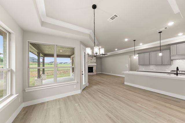 4171 Carrera Drive, Prosper, TX 75078