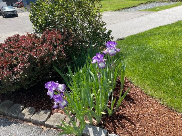 103 Wilson Ave, Framingham, MA 01702