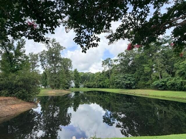3135 Mulan Lane, Charleston, SC 29414