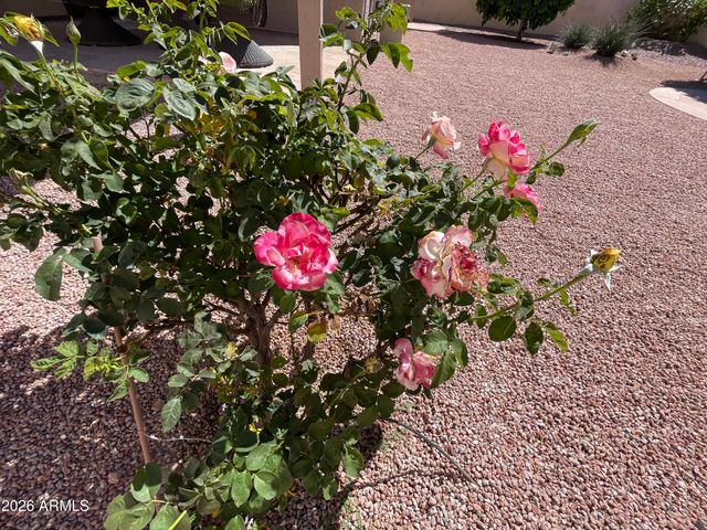 4377 E COOLBROOK Avenue, Phoenix, AZ 85032