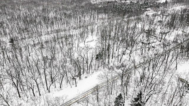 1258 56th Street, Fennville, MI 49408