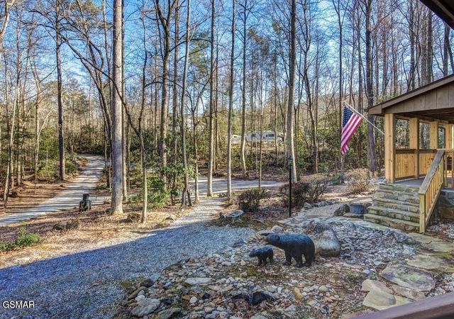 125 Cricket Hollow Way, Cosby, TN 37722