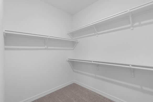 19032 Magnolia Willow Lane, Magnolia, TX 77355