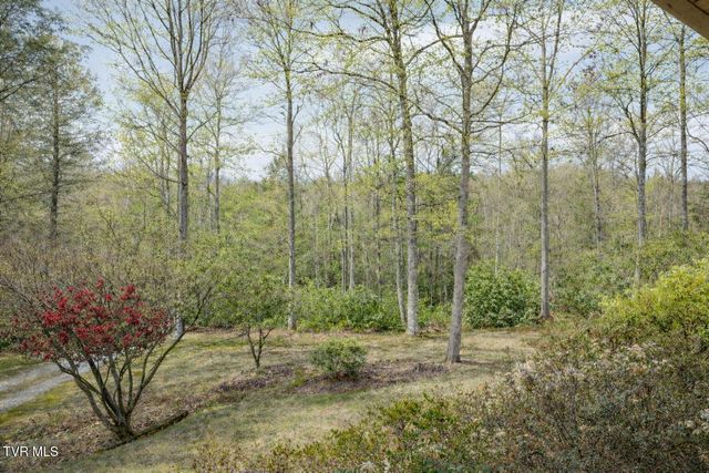 150 Teague Lane, Unicoi, TN 37692