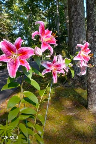 150 Teague Lane, Unicoi, TN 37692