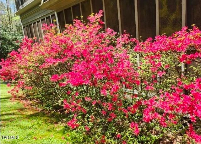 150 Teague Lane, Unicoi, TN 37692