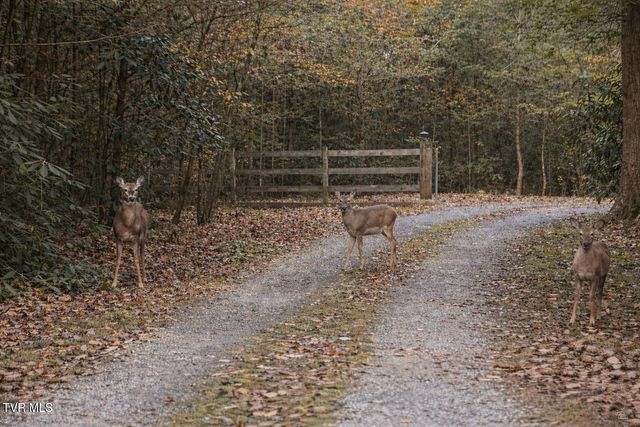 150 Teague Lane, Unicoi, TN 37692