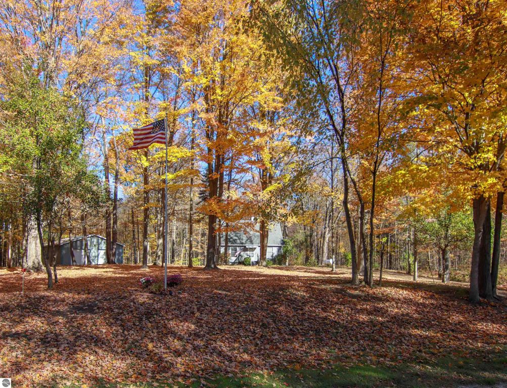 Autumn scene featuring a 3-bedroom saltbox home surrounded by colorful foliage, American flag waving, and a spacious yard on 8.75 acres near 20280 Cadillac Highway, Copemish, MI.