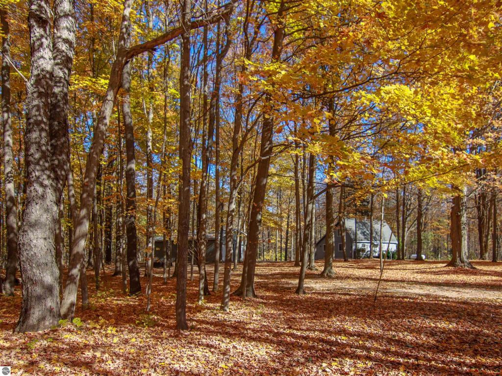 Wooded landscape with autumn foliage surrounding a saltbox style home at 20280 Cadillac Highway, Copemish, MI, showcasing vibrant fall colors and a serene setting on nearly 9 acres.