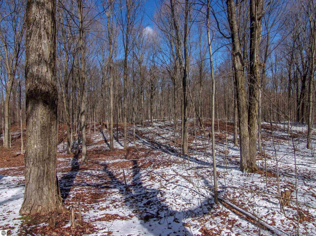 Image 47 of property listing at 20280 Cadillac Highway, Copemish, MI 49625